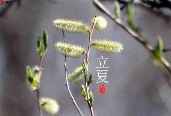 轉載網(wǎng)上圖片——立夏